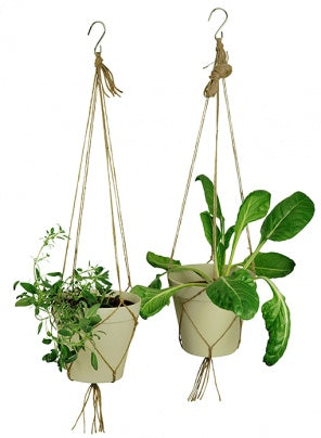 SPICE IT UP hanging pot - Zuperzozial UK